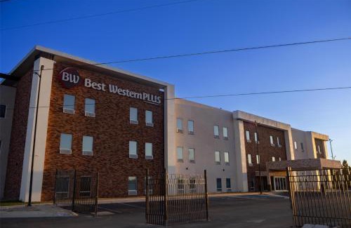 Chihuahua Hotel | Best Western Plus Sacramento