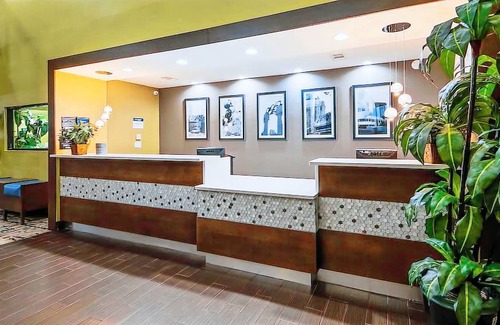 McDonough Hotel | Best Western Plus McDonough Inn & Suites