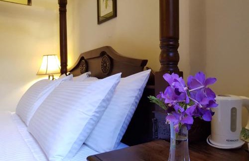 Downtown George Town Hotel | Betel Nut Lodge