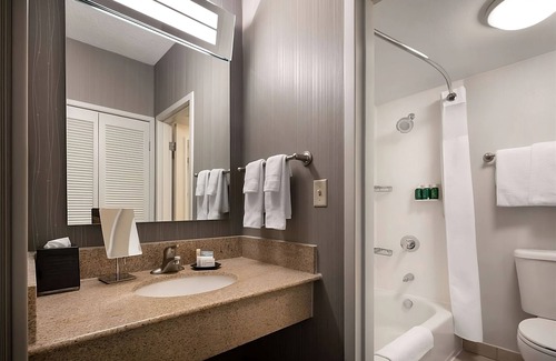 Camelback East Hotel | Better Choice For Your Vacation! Pet-Friendly, Short Drive to Copper Square