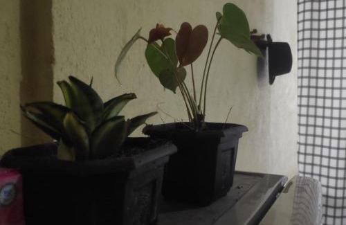 Battaramulla House | BeVibe