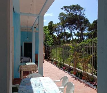 Marina di Bibbona Apartment | Bibbona Summer - Pineta 1 -