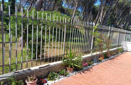Marina di Bibbona Apartment | Bibbona Summer - Pineta 1 -