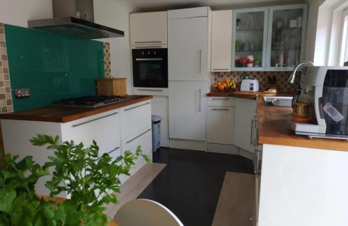 Walsall House | Big Bird's Haven