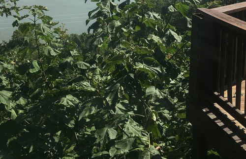 Little Rock Other | big home, gated street, sleeps 10, awesome views. Deck, garage, fence, dogs ok.