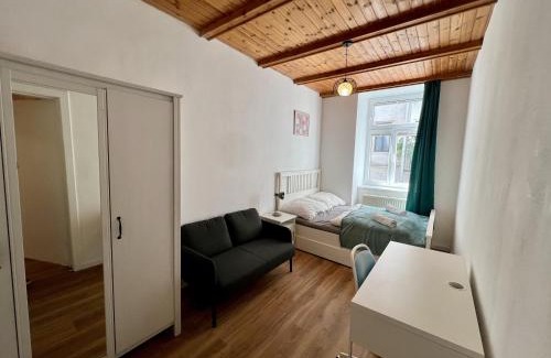 Schottenfeld Apartment | Big Space Apartment
