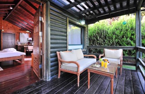 Rosh Pinna Apartment | Bikta Banof