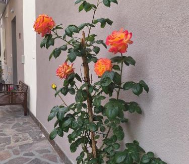 San Giuliano a Mare Apartment | Bilocale moderno Sabbia e Cielo - 5min dal mare
