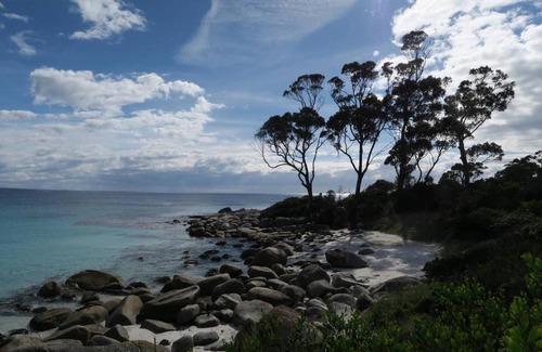 Binalong Bay House | Binalong Bay Beach Shack
