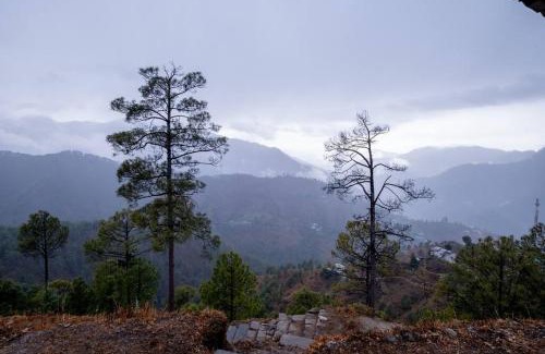 Binsar Apartment | Binsar View Boutique Room l Mountain Hideout