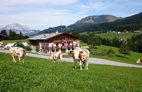 Fieberbrunn House | Bio-Bauernhof Niederlehen