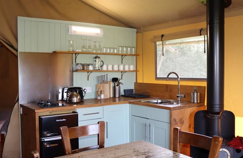 Tiverton Cabin | Birch Safari Tent, the perfect family and dog friendly glamping site, Devon