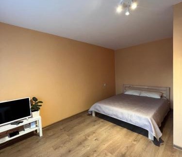 Jelgava Apartment | Birch view apartment