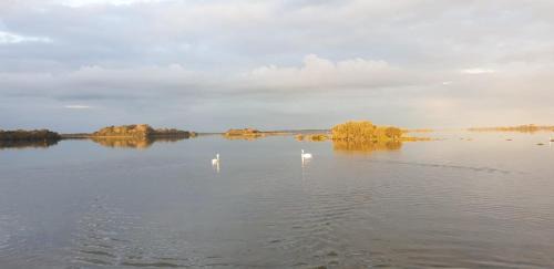 Carrowmoreknock Bed & Breakfast | Birchall Lodge
