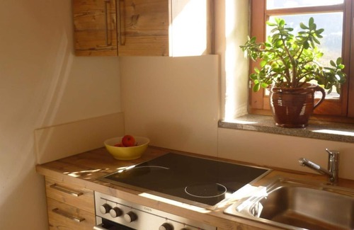 Werfenweng Other | Bird apartment/1 bedroom/shower, toilet - organic farm Vorderfromm