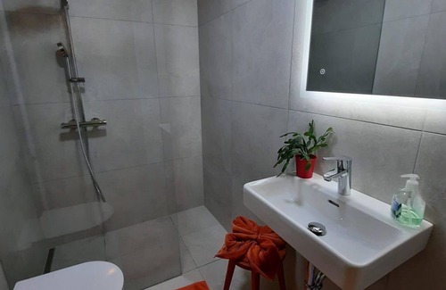 Werfenweng Other | Bird apartment/1 bedroom/shower, toilet - organic farm Vorderfromm