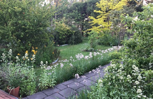 Woori Yallock Cottage | Bird Hill - A Garden Retreat in the Yarra Valley - Get Up Close to Native Birds