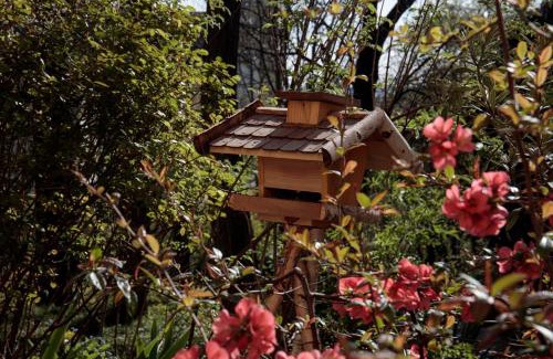Szentimrevaros Apartment | Birdnest Apartment