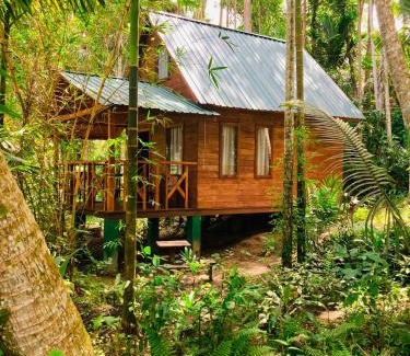 Wanchawala Cabin | Birds Bliss Cabana