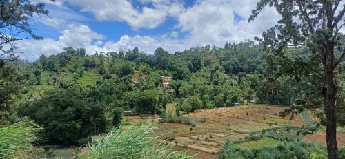 Ella House | Birds Sanctuary Home Stay