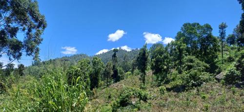 Ella House | Birds Sanctuary Home Stay