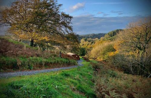 Woolacombe House | Birdsong Lodge