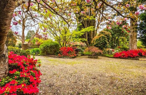 Blackheath House | Birdwood Guesthouse