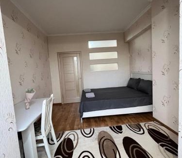 Bishkek Apartment | Bishkek Uptown Apartment