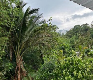 Padawan House | Bisidos Homestay