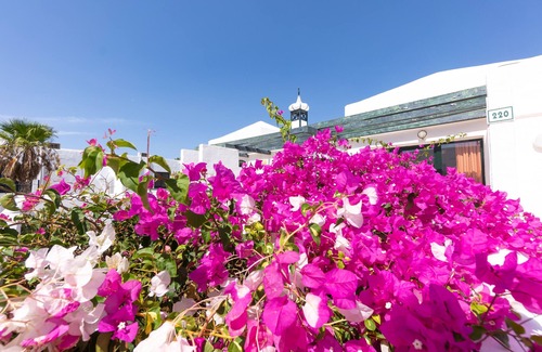 Puerto del Carmen Apartment | Bitácora Lanzarote Club