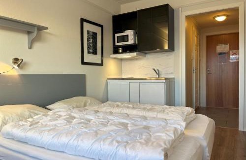 Beitostolen Apartment | Bitihorn fjelltind