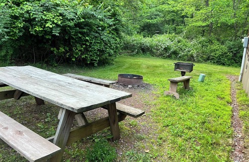 Robertsdale Cabin | Bitter Goose Cabin - Private, Sleeps 6, Fire Pit, Swimming Pool, 15 minutes to Lake Raystown