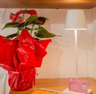 Oltretorrente Apartment | Bixio 123