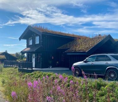 Rauland House | Bjarnebu - 4 bedroom cabin in Rauland