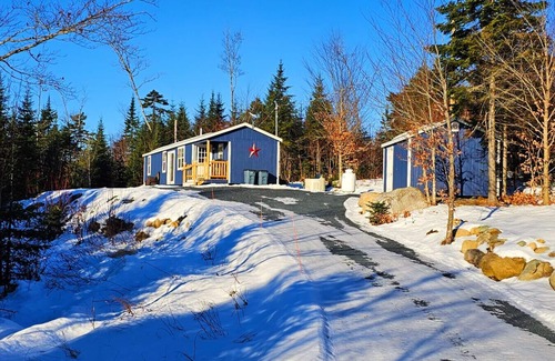 Greenville Cabin | Black bear cabin at Moosehead lake