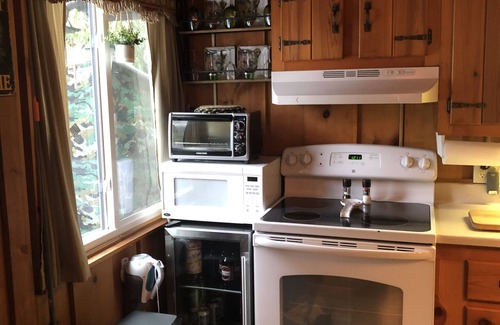 Lake Harmony Estates Ski Chalet | Black Bear Cozy Chalet, Lakeview, kayaks available for use
