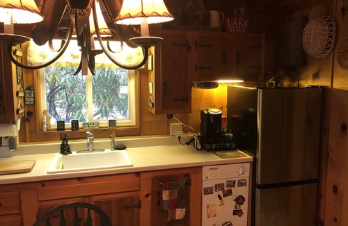 Lake Harmony Estates Ski Chalet | Black Bear Cozy Chalet, Lakeview, kayaks available for use