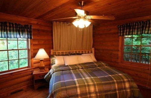 Chatsworth Cabin | Black BearBlack Bear-Rustic Family Cabin on Top of Fort Mountain!