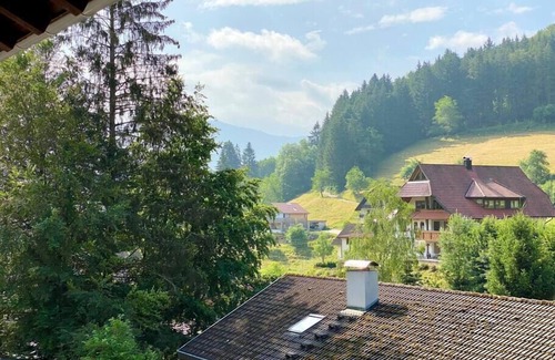 Elzach Apartment | Black Forest Apartment 1