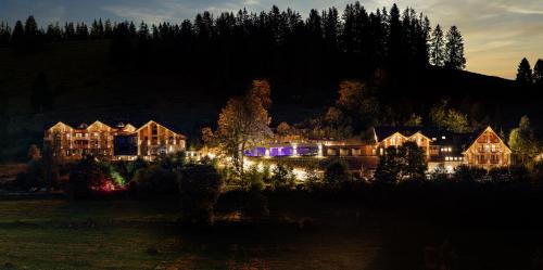 Feldberg Apartment | Black Forest Lodge
