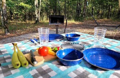 Mid America Other | Black Fox Den: A Woodland Glamp - Dog Friendly in Hot Springs, AR