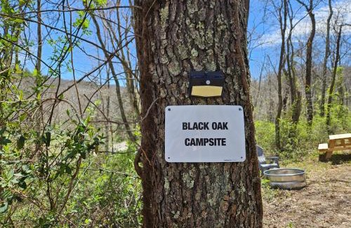 Logan Other | Black Oak Campsite at Hocking Vacations Campsites - Tent not Included