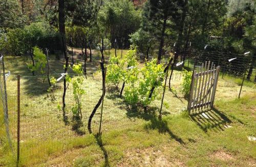 Mariposa House | Black Oak Hill Vista near Yosemite - mountain views & starry night sky