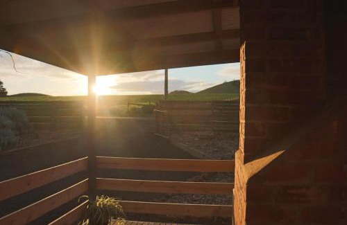 Camperdown House | Black Rock Cottage