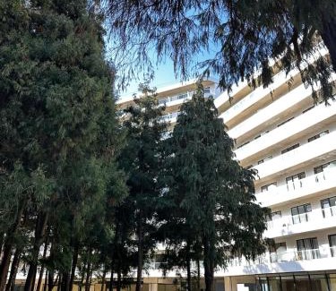 Kobuleti Apartment | black seaside apartment, Tsikhitsdziri