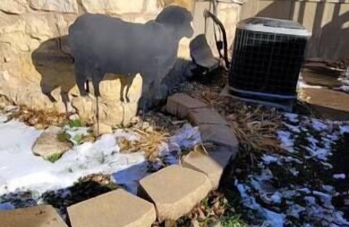 Bagley House | Black Sheep Lodge:Cozy & Casual-Dog Friendly