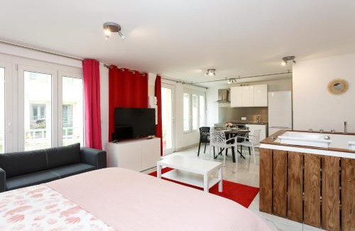 Le Blanc-Mesnil Apartment | Blanc Mesnil Nid d'amour
