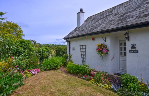 Llanfairpwllgwyngyll Cottage | Blochdy