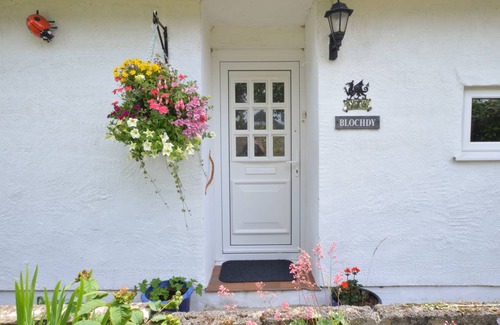 Llanfairpwllgwyngyll Cottage | Blochdy