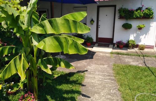 Laktasi House | Blossom Cottage